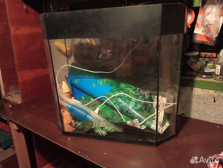 Аквариум