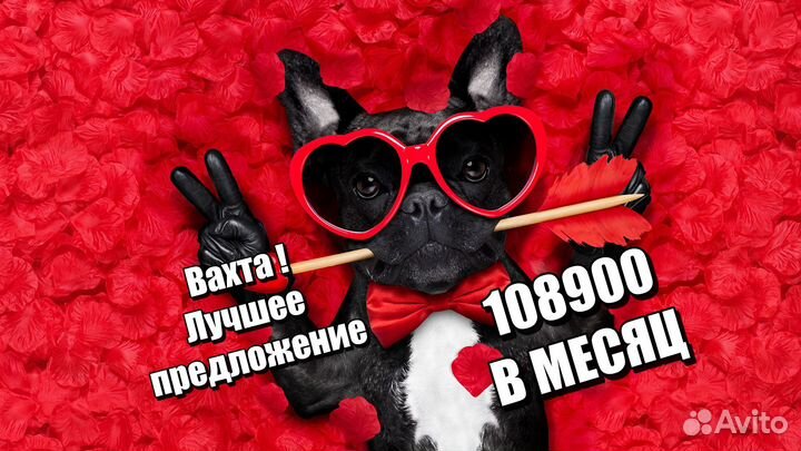 Вахта упаковщик(ца) без опыта с питанием для всех