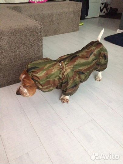 Комбинезон для бассет-хаунда