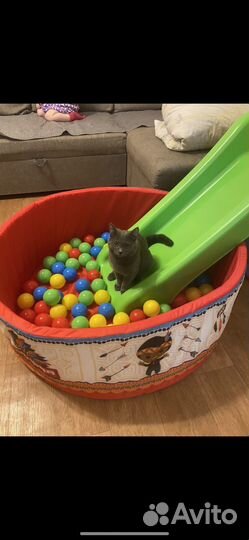Детский сухой бассейн с горкой