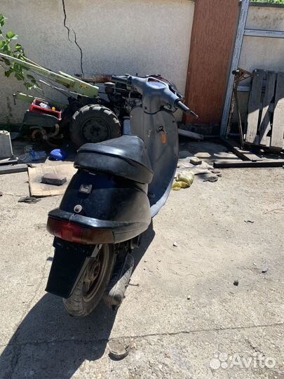 Honda Pal