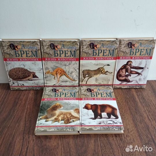 Жизнь животных, Альфред Брем