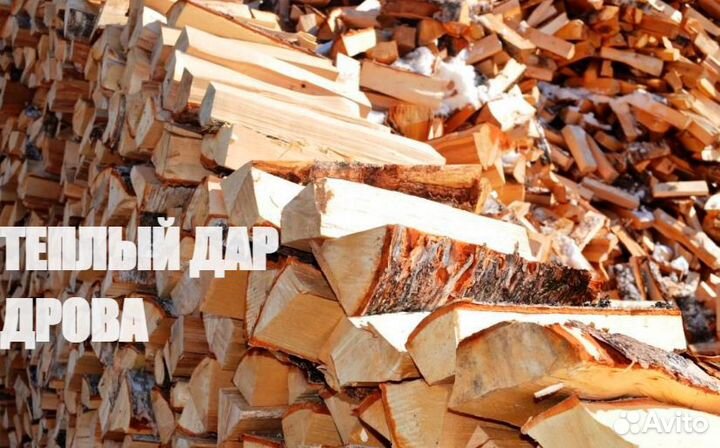 Дрова сухие