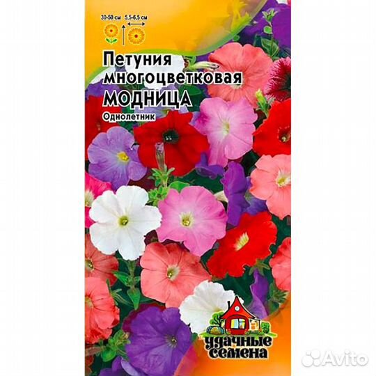 Петуния Модница многоцветковая