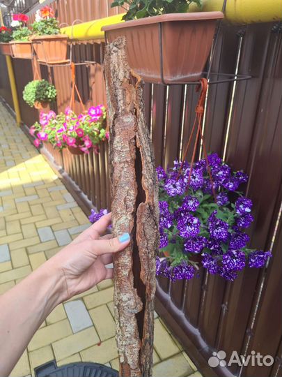 Кора дрифтвуд, кашпо