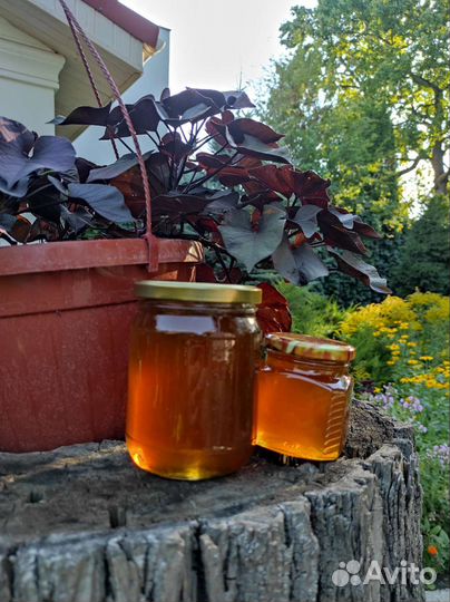 Деревенские соленья