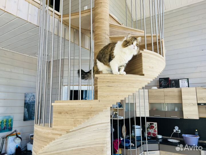 Лестница под ключ. Под любую высоту