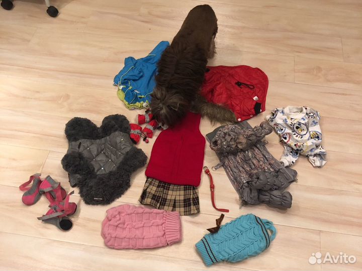 Сумка-переноска для животных