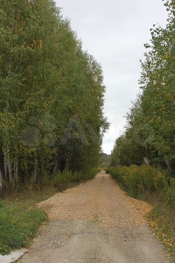 Участок 12,8 сот. (СНТ, ДНП)