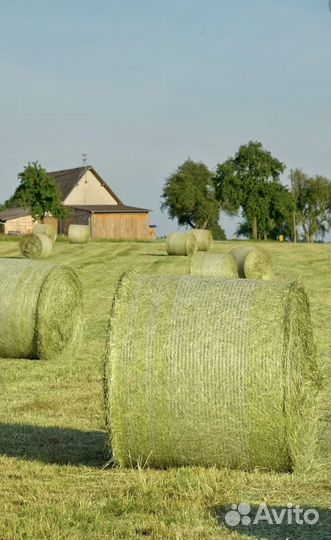 Сено в рулонах 2023