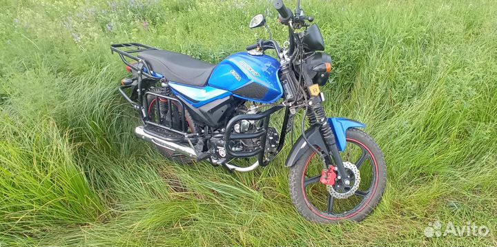 Alpha tourist 125 (49)