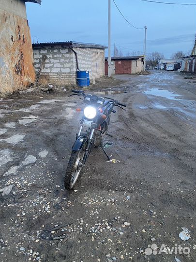 Альфа бандит 110