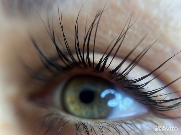 Курсы: «brows master» “laminate lashes”