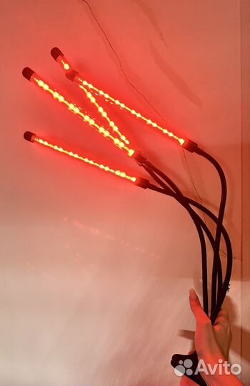 Фитолампа для растений б/у