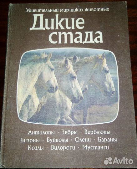 Дикие стада