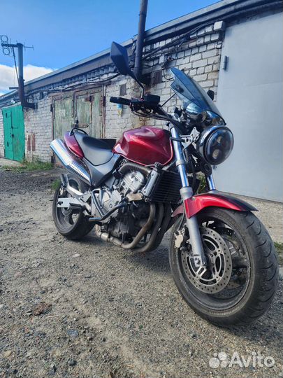 Honda cb600 hornet