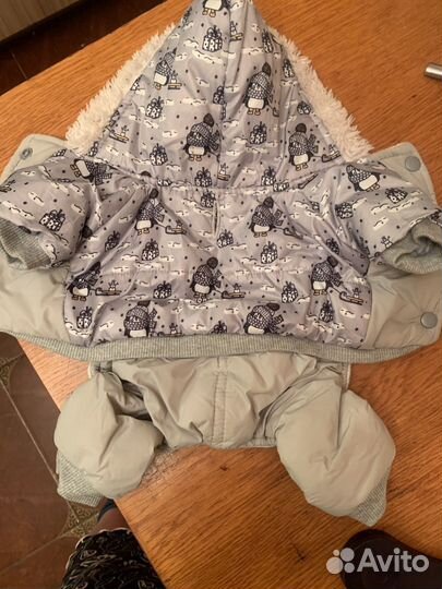 Одежда для маленьких собак xs