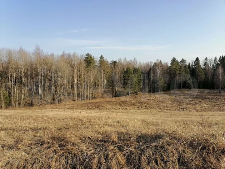 Участок 14,4 сот. (ИЖС)
