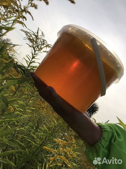 Мёд из д. Бежин луг