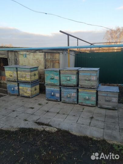 Продам ульи и платформу