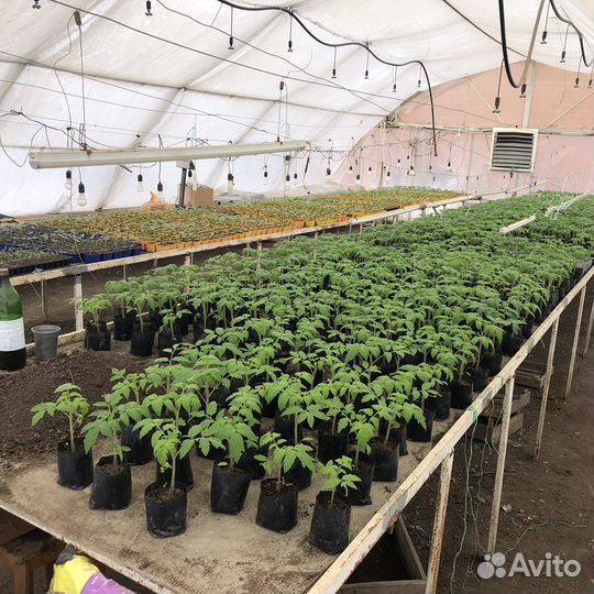 Готовый бизнес