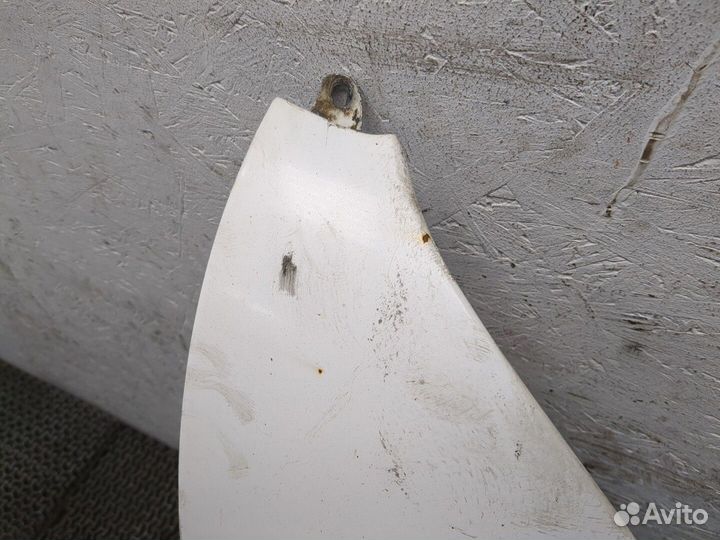 Крыло LDV (DAF) Maxus, 2007