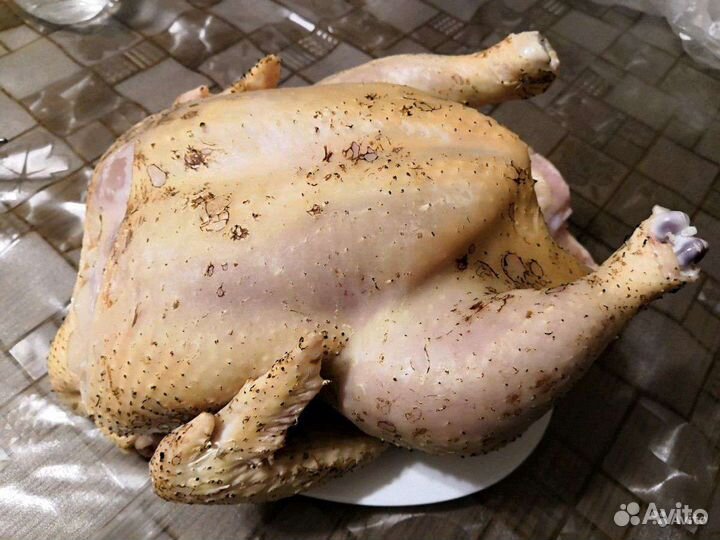 Мясо курица, индюшка, гусь, свинина