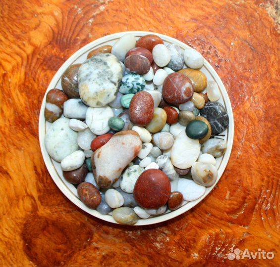 Морские ракушки, красивые камни