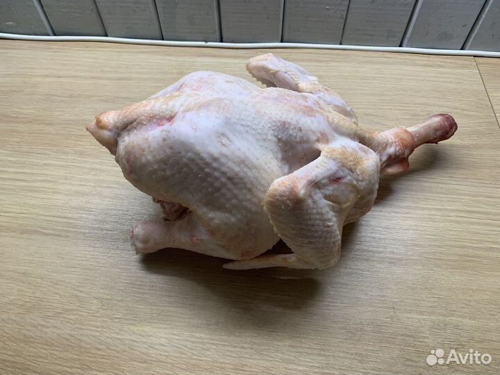 Домашнее мясо цыпленка бройлера