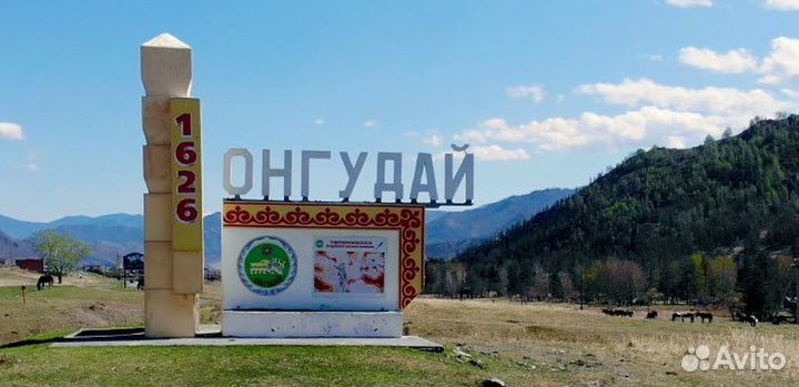 Свой человек в Онгудае