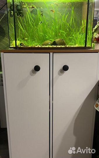 Аквариум с рыбками