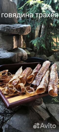 Лакомства для собак