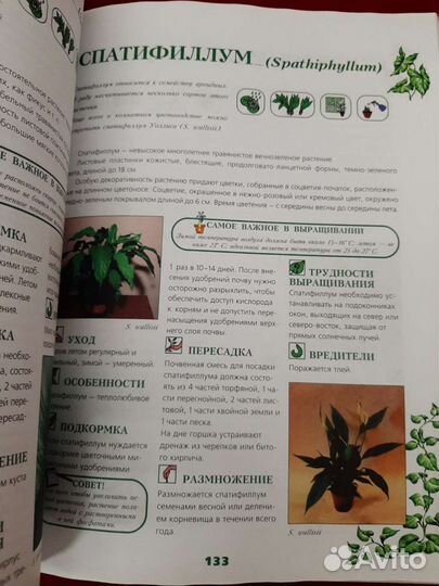 Книги энциклопедия комнатных растений