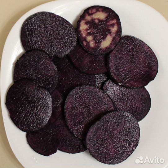 Картофель сорт Аметист