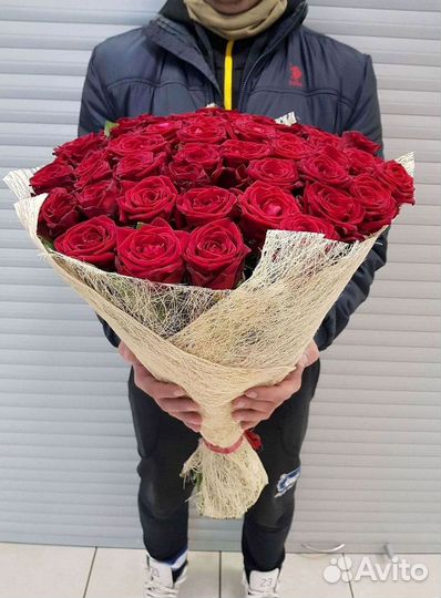 101 роза цветы букеты доставка 25 51 101 роза