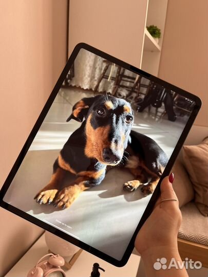 iPad pro 12.9 2020 A12Z 1 TB Wi-Fi + Cellular