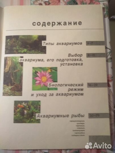 Книги о домашних животных