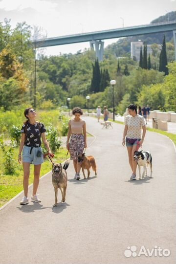 Кинолог зоопсихолог