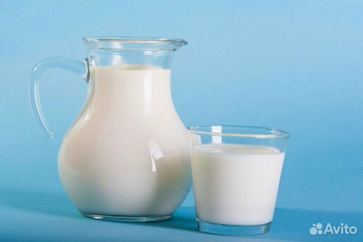 Коровье молоко, творог, сметана