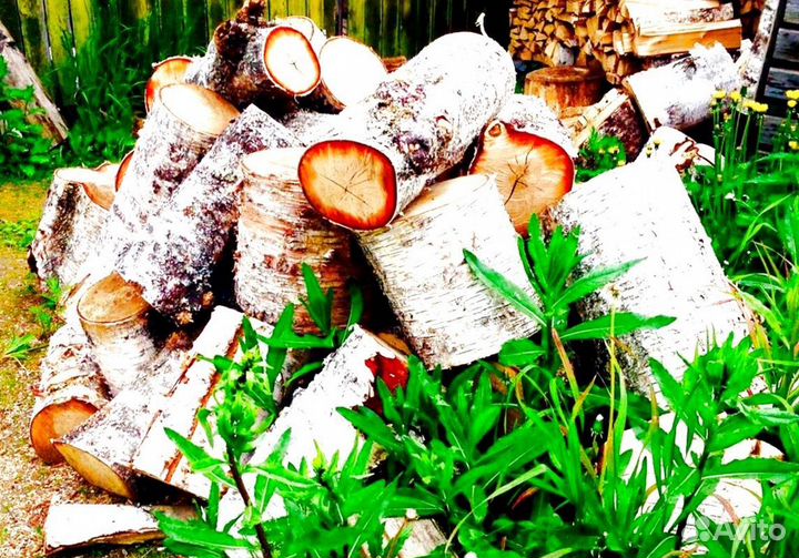 Дрова образцовые