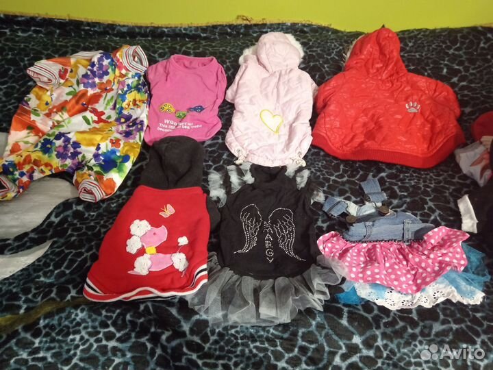 Вещи для маленьких собак