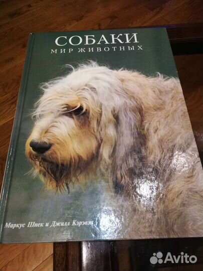 Книги Мир животных