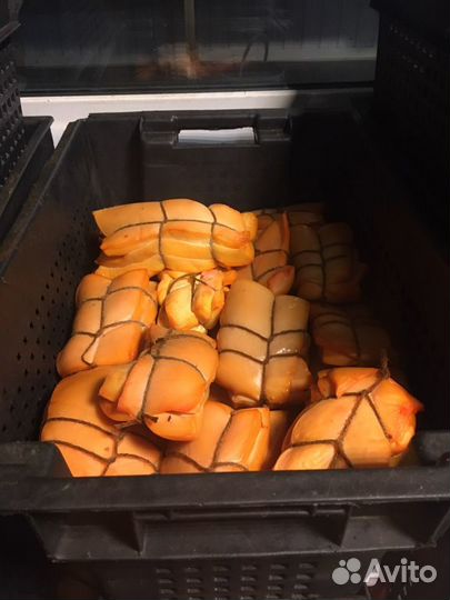 Кальмар горячего копчения