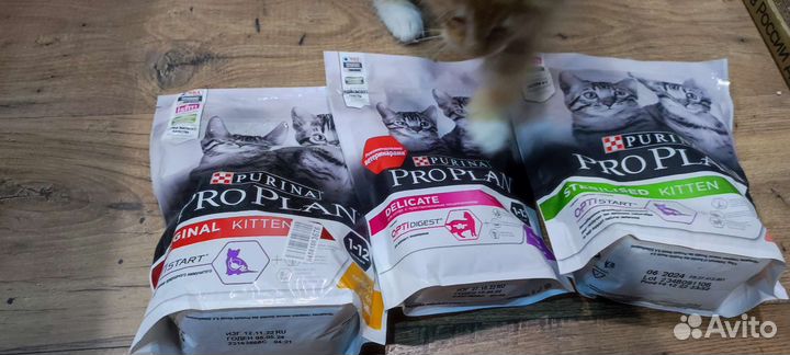Purina pro plan для котят
