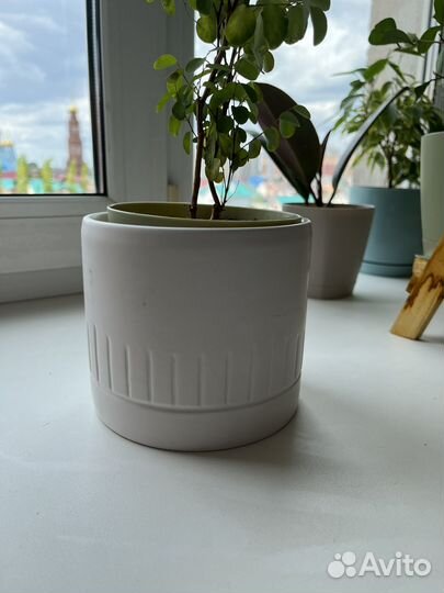 Керамический норшок