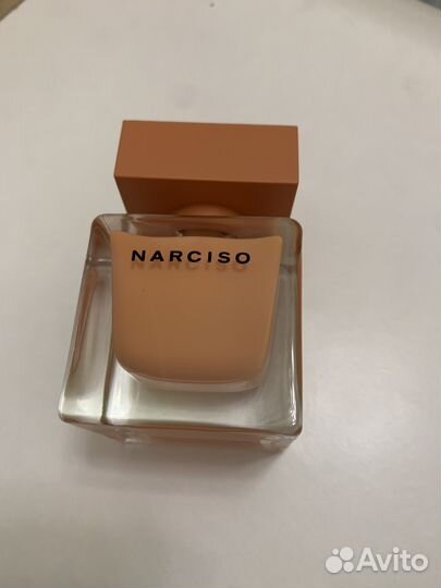 Narciso rodriguez ambree
