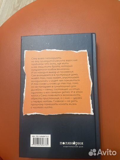 Книга мальчик который крадет дома,С.Дж.Дрюс