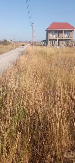 Участок 6 сот. (СНТ, ДНП)