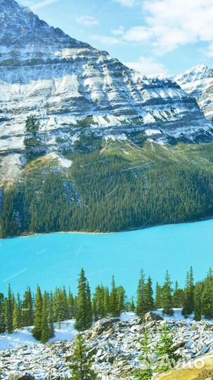 Набор текста, сканирование документов