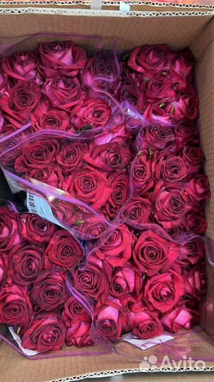 Розы оптом и в розницу
